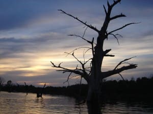 Mexico Bass Fishing
