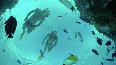 Swimming Safety Tips
