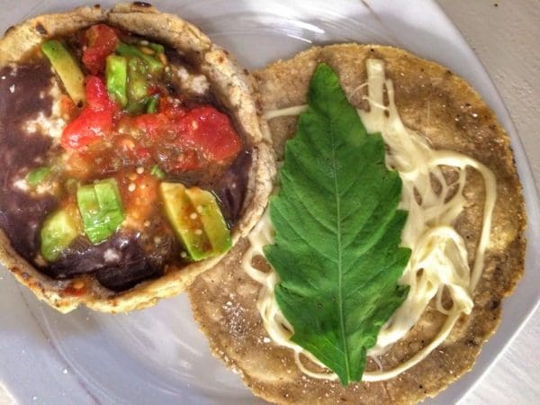 Safe Eating in Oaxaca 2