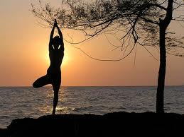 Mexico Yoga Retreat Magical Effects
