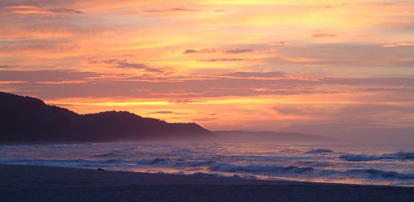 playa arrocito
