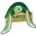 Turtle Sanctuary