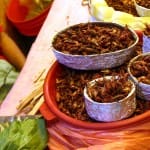 Chapulines chapulines