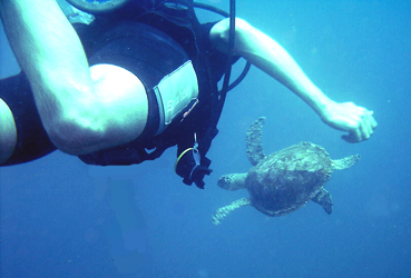 scuba diving